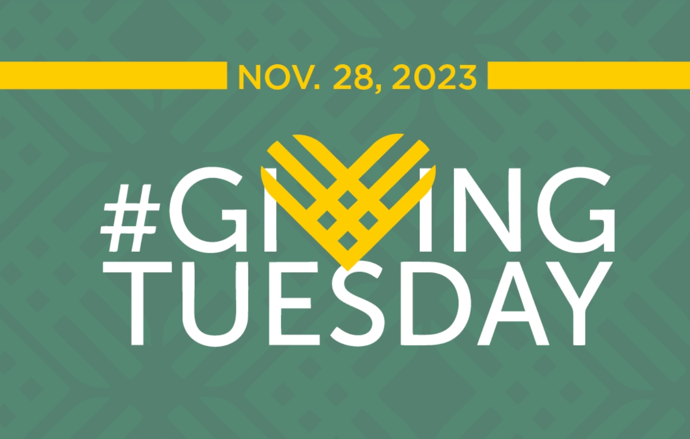 Giving Tuesday campaign sets all-time record