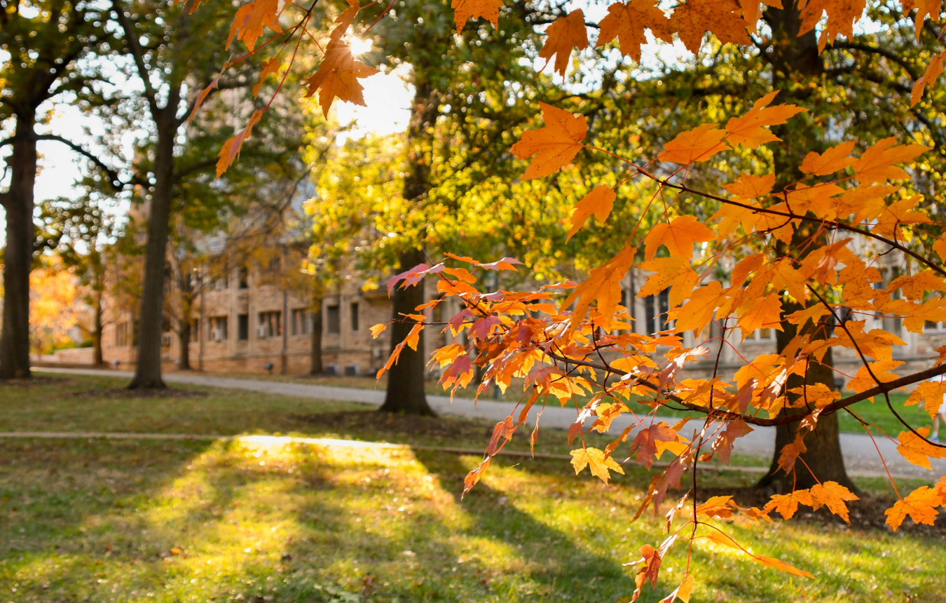 Concordia Seminary campus